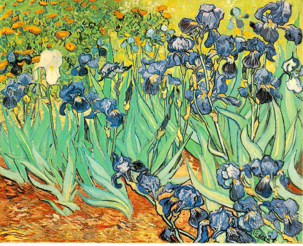 Van Gogh Irises 1889 Getty Museum