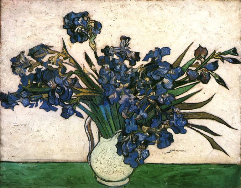 Van Gogh Irises 1890 Met