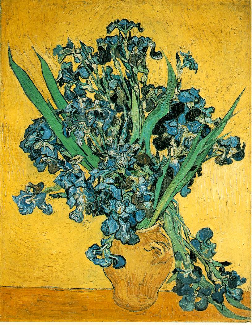 Van Gogh Irises 1890 Rijksmuseum Vincent van Gogh