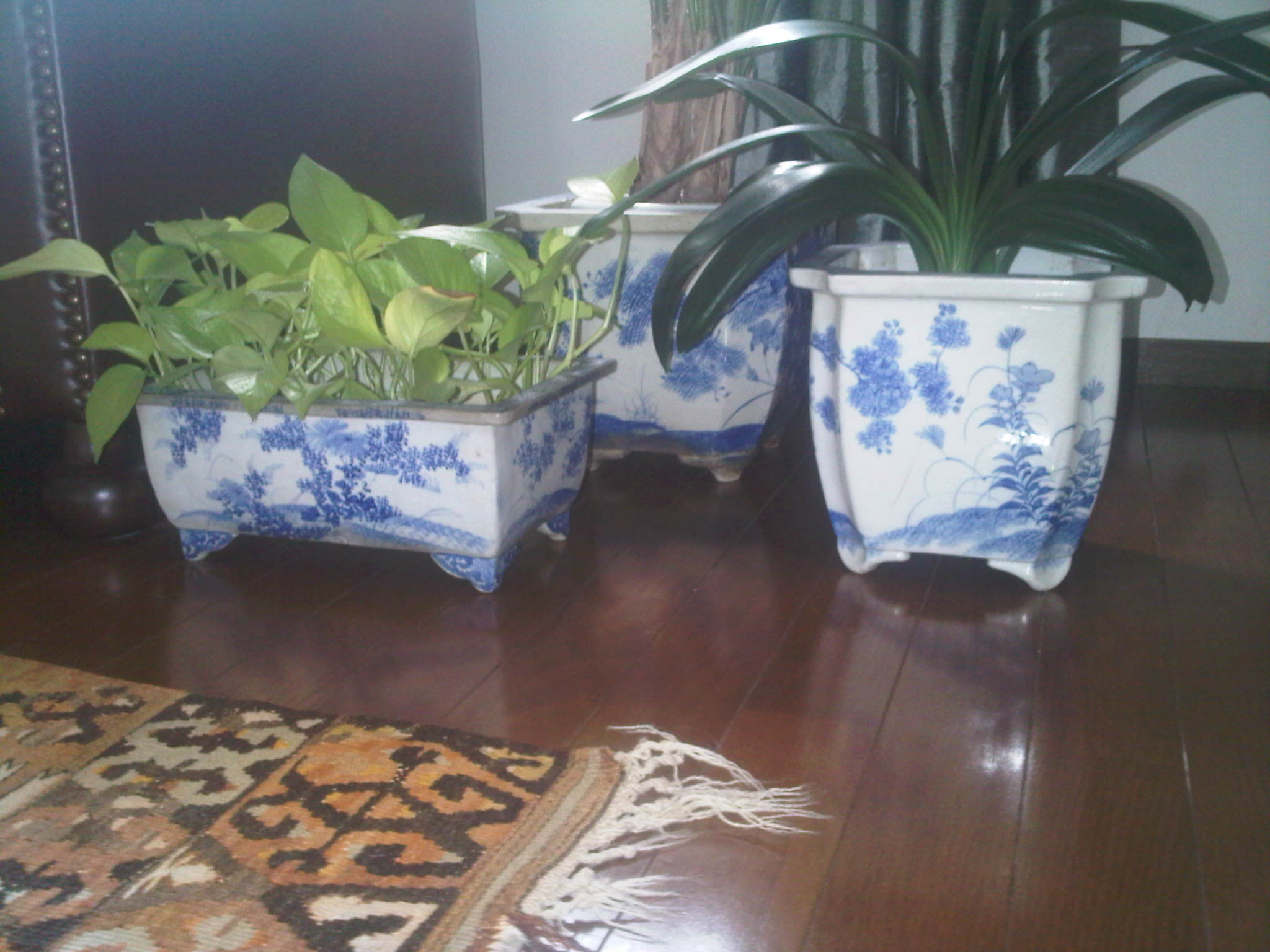 My Seto planters