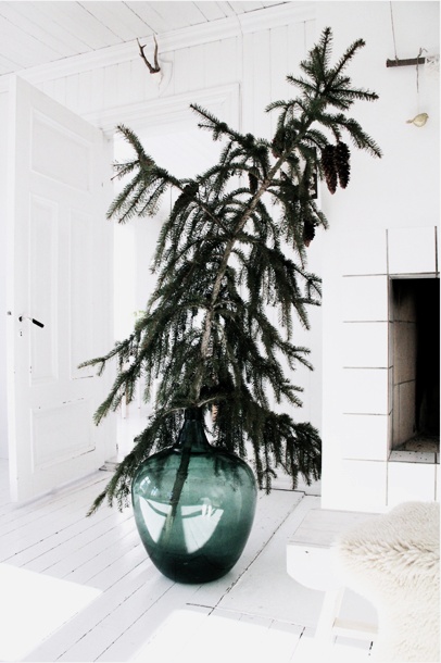 christmas tree in glass jug