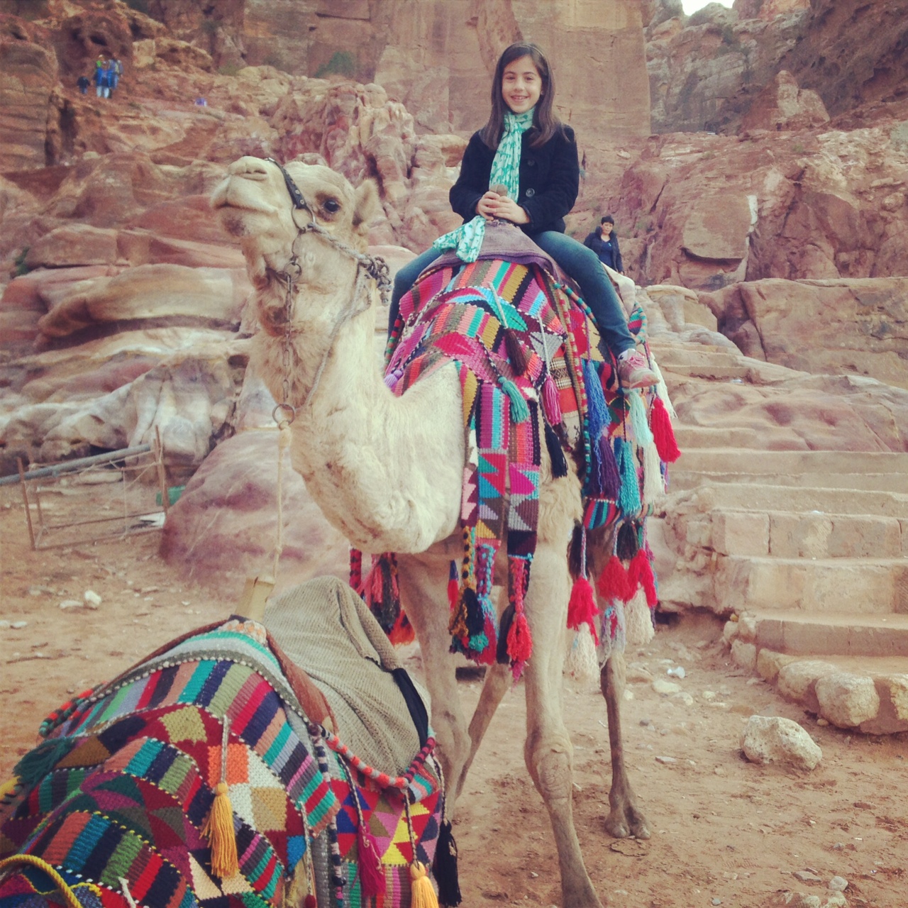 Miss P on a camel